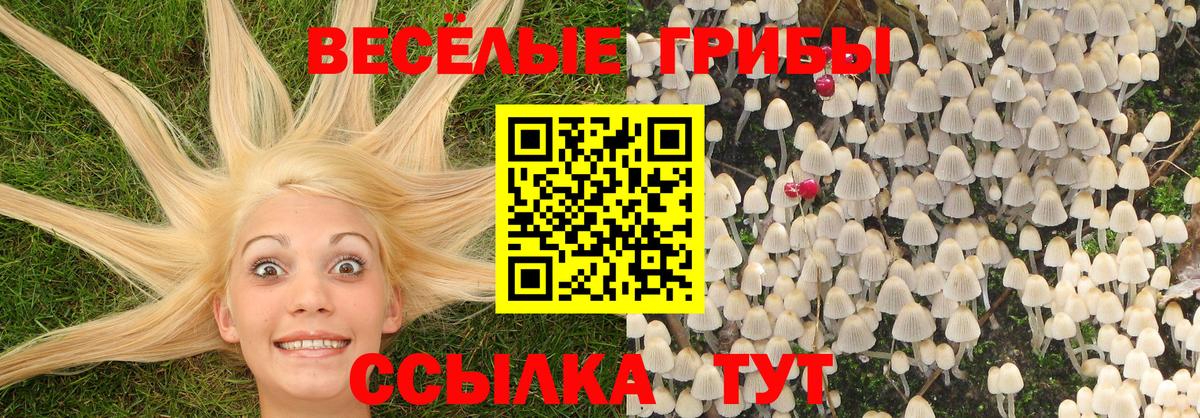 Ставрополь  наркошоп  Вход с VPN  Псилоцибиновые грибы мухоморы 